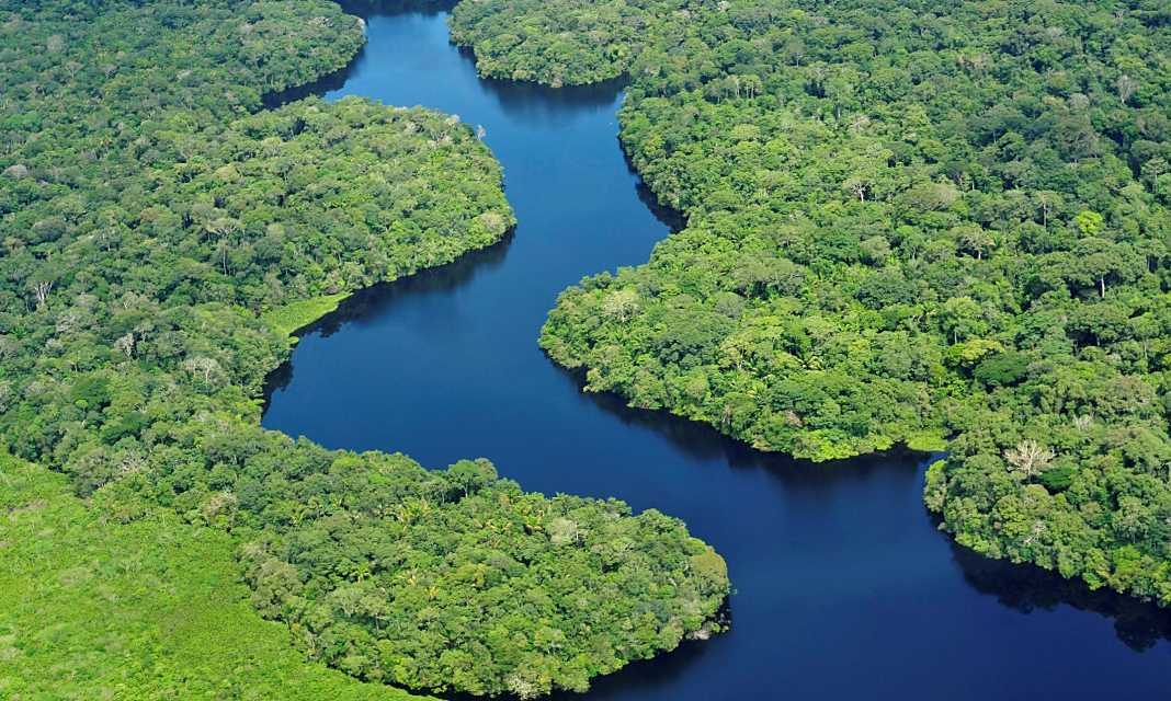 Saving-the-Amazon