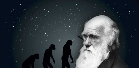 evolucion darwin